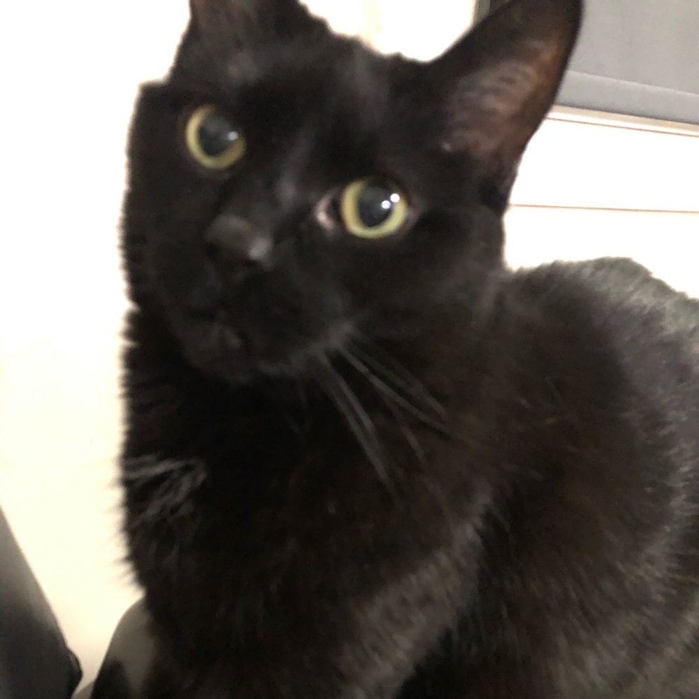 Meet your Posher, Makayla